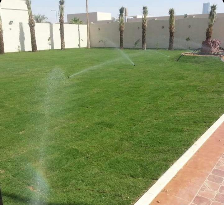 صورة توضيحية لـ توريد وتركيب الثيل الطبيعي في حي النخيل الرياض